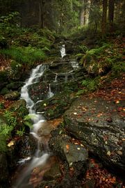 Fairytale waterfall by Roelie Steinmann