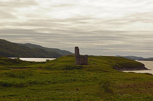 Ardvreck Castle is een ruïne van een kasteel in de Schotse Hooglanden.