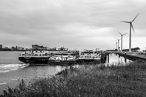 Windmills in the harbor 