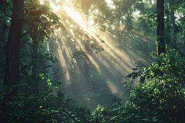 morning light in the forest