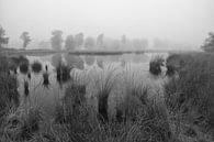 Vennen landschap in zwart wit van Elroy Spelbos Fotografie thumbnail