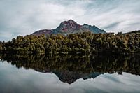 Spiegelung im See Lago Moreno, Bariloche, Argentinien