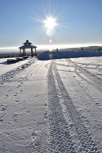 Het dorpspark in de winter