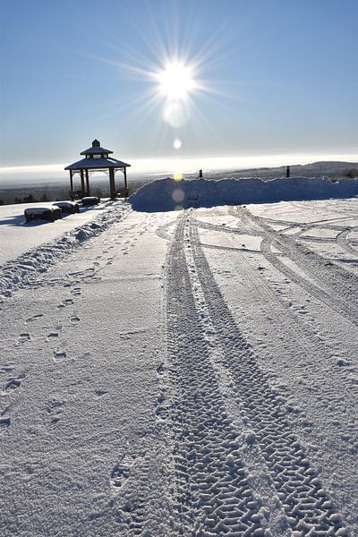 The village park in winter by Claude Laprise