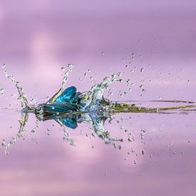 Die Wirkung! von Robert Kok