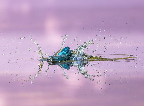 Die Wirkung! von Robert Kok