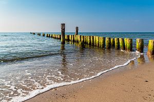 Buhnen an der Küste der Ostsee bei Graal Müritz