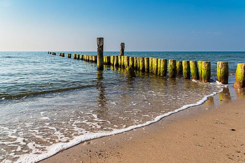 Groynes on the coast of the Baltic Sea near Graal Müritz