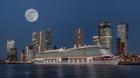 Rotterdam, Cruiseschip aan de Holland-Amerikakade
