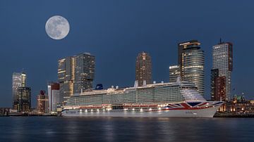 Rotterdam, Cruiseschip aan de Holland-Amerikakade van U&U Art