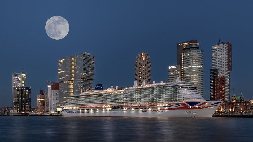 Rotterdam, Kreuzfahrtschiff an der Holland-Amerikakade von U&U Art