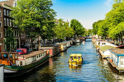 Trees and houseboats at canal in Amsterdam city center in Netherlands