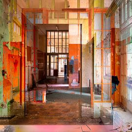 No rules no limits by Caroline Boogaard