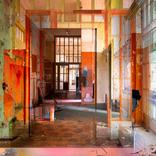 No rules no limits van Caroline Boogaard