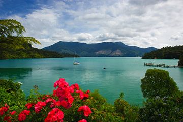 Marlborough Sounds, Te Mahia, Zuider-Eiland, Nieuw Zeeland van Henk Meijer Photography