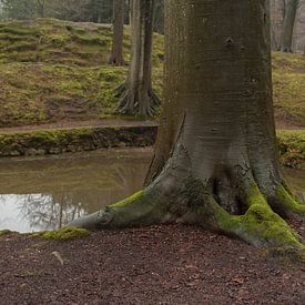 Bomen  van PPS Fotografie