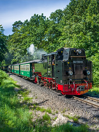The island of Rügen – the ‘Rasender Roland’ steam locomotive by Thomas Bugdoll