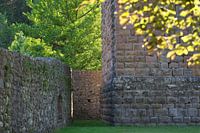Castle, ruin and nature