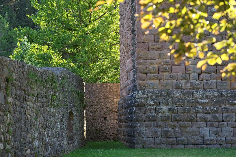 Castle, ruin and nature by Daniel Dorst