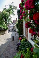Muurhuizen Amersfoort
