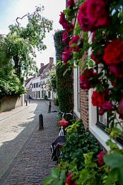 Muurhuizen Amersfoort by Ester Overmars