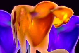 Das Mädchen und der Greif von Harry Ucksche