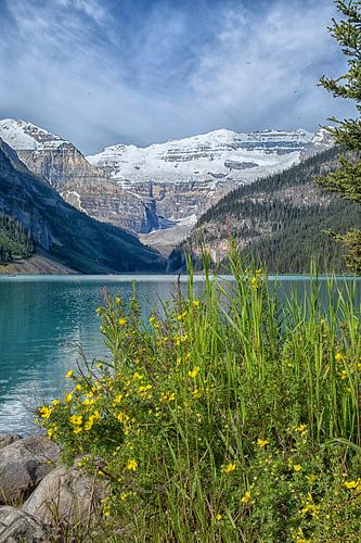 Lake Louise in Canada van Patricia Hofmeester