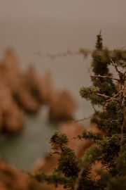 Blurry Algarve Ocean view by Alica Semle