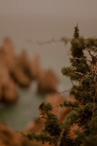 Blurry Algarve Ocean view