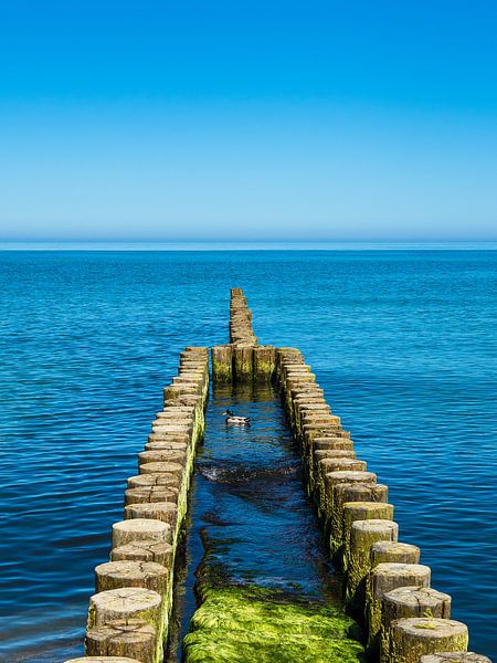 Groyne at the coast of the Baltic Sea on the Fischland-Darß by Rico Ködder
