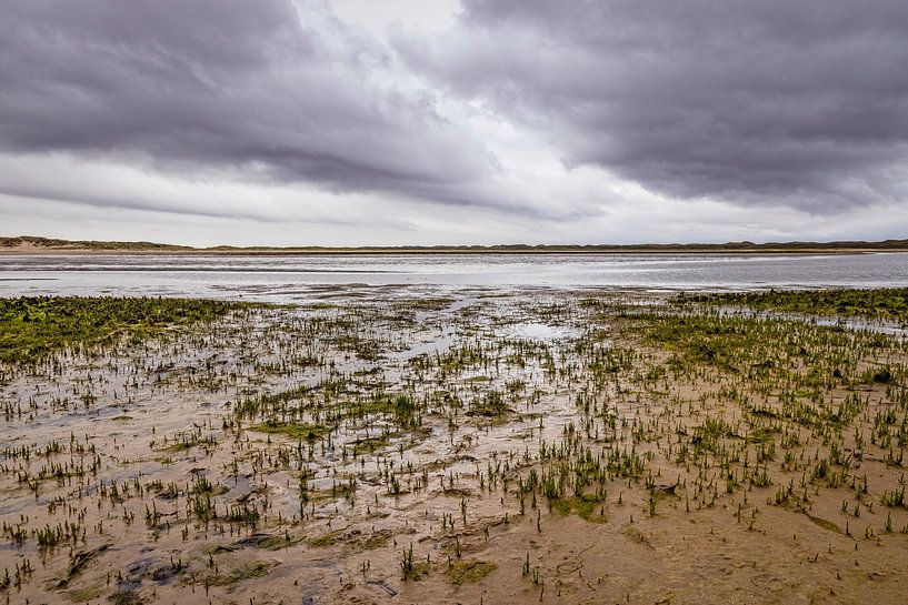 Nature reserve the Slufter on Texel by Rob Boon