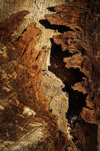 Abstract in de natuur