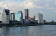 The Red Apple from the Maas river von Marcel van Duinen Miniaturansicht