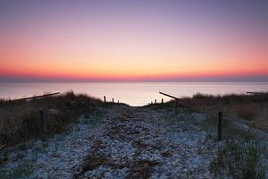 Am Strand des Meeres