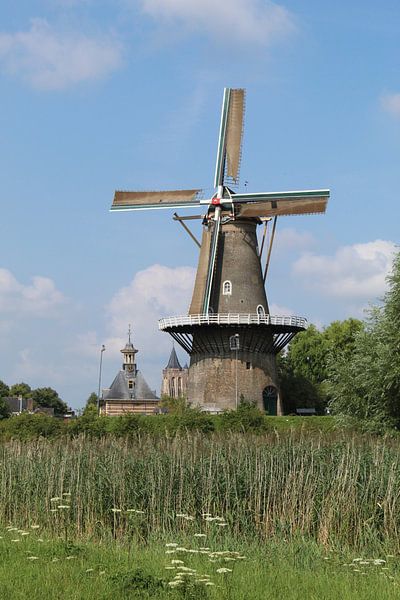 Mill The Hope in Gorinchem by Eline Lohman
