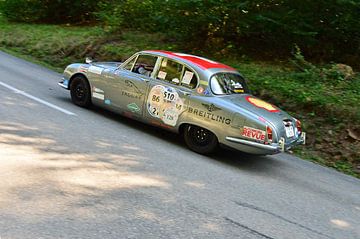 Jaguar 3,8 S  Eggberg Klassik 2019 von Ingo Laue