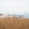 Falaises de Seven sisters en Angleterre vues à travers l'herbe des dunes - photographie de nature et de voyage sur Christa Stroo photography