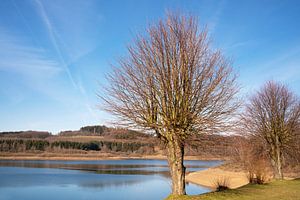 Große Dhünntalsperre, Bergisches Land, Deutschland