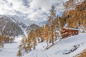 Wanderweg bei der Almenalm im hinteren Villgratental