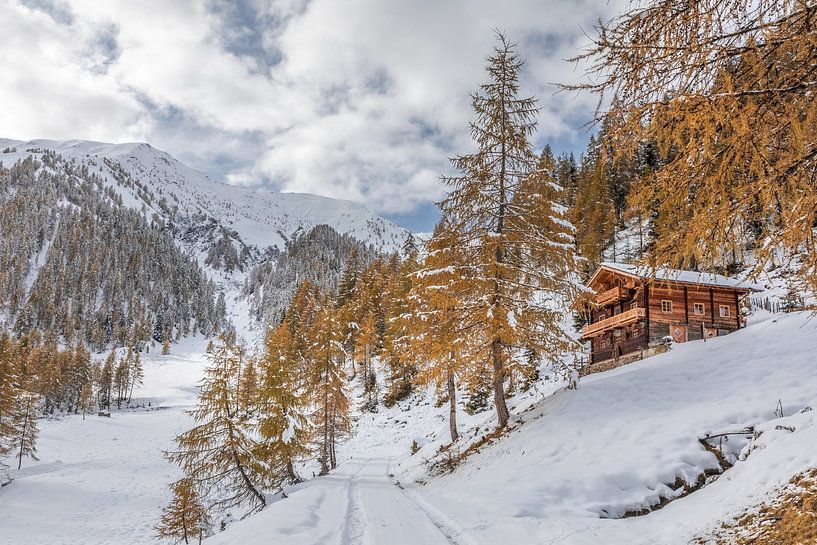 Sentier de randonnée près de l'Almenalm dans la vallée de Villgraten par Christian Müringer
