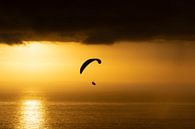 Paragliding into the Sunset by Alexander Schulz thumbnail