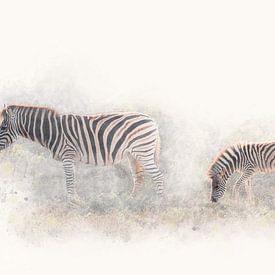 "Zebra moeder en kind in de avondzon" - Photography & Art van - GreenGraffy -