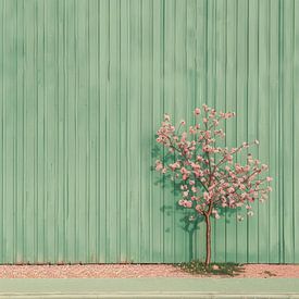 Rosa Baum vor grünem Hintergrund von Natasja Haandrikman