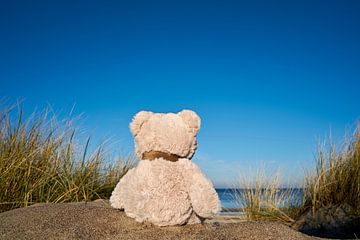 verdrietige teddybeer met reislust op het strand van Warnemünde