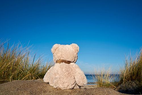 verdrietige teddybeer met reislust op het strand van Warnemünde