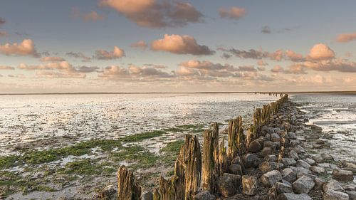 Verweerde palen op het Wad bij Moddergat