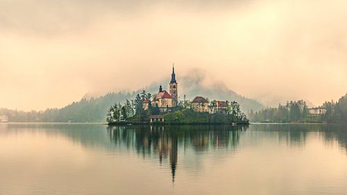 Bled dans la brume
