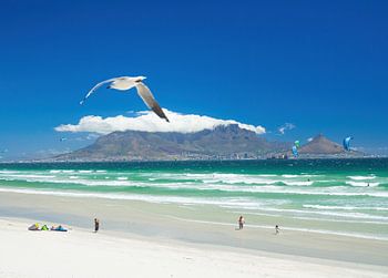 Mouette et cerfs-volants au-dessus de la plage de Blouberg avec le Cap et la Montagne de la Table en