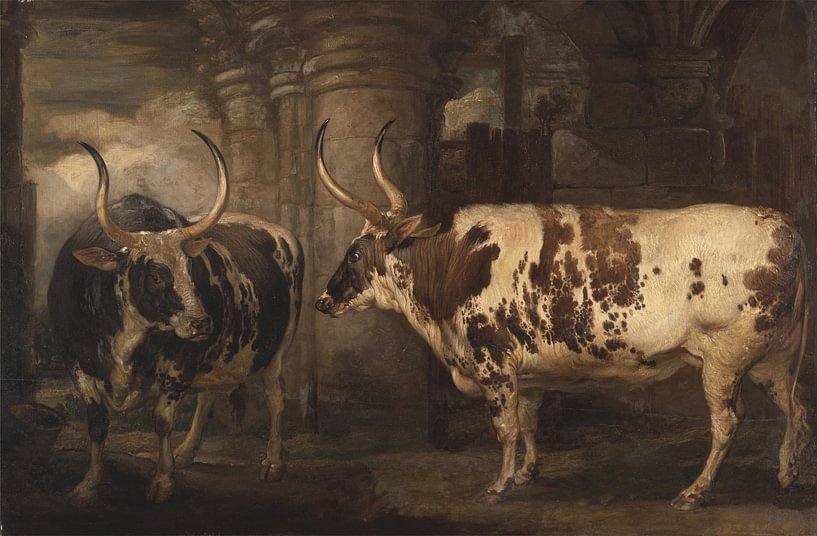 Porträts von zwei außergewöhnlichen Ochsen, Eigentum des Grafen von Powis, James Ward von Meisterhafte Meister