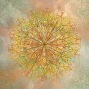 Mandala, Kreidelinien, Gelbtöne von Rietje Bulthuis Miniaturansicht